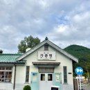 카페문희 | 문경 가볼만한곳 당일치기여행 가은역카페 문희농원 개미취 후기