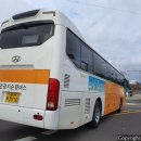 관광지순환버스 주식회사 네이버블로그