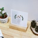 하우스토어 이미지