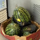 JUICY(쥬씨) | [쥬씨 외국어대점] 요즘 핫한 아보카도바나나 🥑🍌