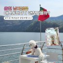 수지애견 | 🐾 남이섬 애견동반 당일여행 완벽 후기 | 용인 수지 출발, 주차비·입장권 꿀팁까지
