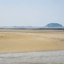 몽산포 송림 이미지