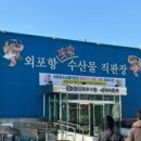 외포5호