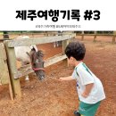 스테이슬로우힐