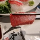 영참치