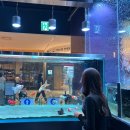 설성목장(대치점) | 라클라쎄, 대치동 미용실, 강남 미용실 추천, 여름 여자 긴머리펌 추천