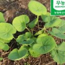 세연환경 이미지