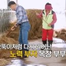 요거트가족 이미지