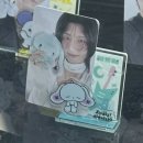 뷰마인