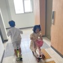 도이 태권도 이미지