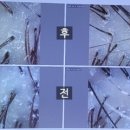 두핏 이미지