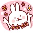 모몽크