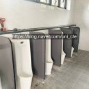 대관령어흘리관광지 이미지