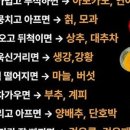 백세시대하나로