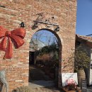 김해꽃식물원 | 부산 근교 대형카페 김해 파우제앤숨 식물원 카페