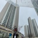 옐로카펫(오류남초, 시설 정문 앞_학교 외벽) | 당산동/영등포동 임장후기(아크로타워스퀘어, 당산센트럴아이파크, 당산삼성래미안4차)