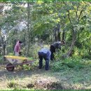 일구농장 이미지