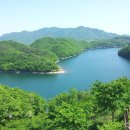 삼용농장 이미지