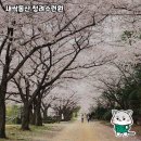 동산자원 | 새싹동산 청려수련원: 자연 속의 야영 핫플!