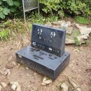 로엠충주점 | 9월_오랜만에 충주 남산 등산 후기 - 들꿩과의 조우