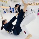 뫼비우스주짓수북