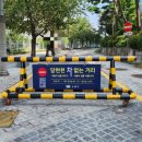 당현천 차없는거리 이미지