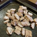 시집못간 돼지 이미지