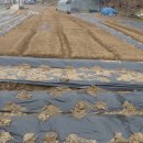 상일농장 이미지