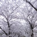 너릿재주차장 공중화장실 이미지