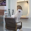 미장원by뚜뚜