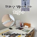 우니샵 | 목포뷰티샵 피오나 다이어트바디관리 배