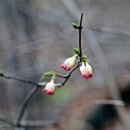 선래매운탕 이미지