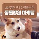 금쪽같은 내새끼 동물병원 이미지