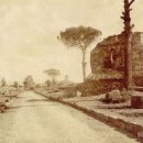 까치소리 이미지