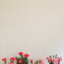꽃;마음담다 이미지