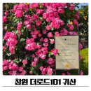 101 | 창원 귀산카페 더로드101 장미꽃카페 추천
