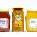 춘천양봉원 이미지