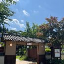 산장찻집(동전고개) | 춘천 대룡산장 — 숲속에서 만난 이국적인 감성 카페