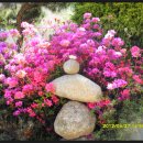 정다운휴게소 이미지