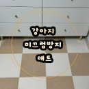 개 최고 | 노는 개 최고양 강아지 미끄럼방지 매트 강아지 매트 셀프시공 후기 가성비 좋은 강아지 매트 추천