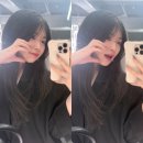 토끼언니케이크 | 학업과 도파민 두마리 토끼를 잡으려면