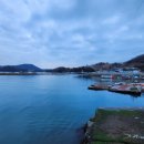 고니민박 이미지