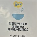 남춘천 여행사