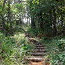 골든펜션 이미지