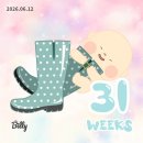 한양힐링하우스 | 🤰임신🤰[31~32주] 그레이스병원, 베이비하우스 일산점, 문경새재, 셀프만삭사진, 부산2박3일여행, 트립트랩