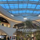 웁스(OOPS) 이미지