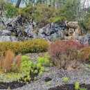 5단지롯데공인중개사사무소 이미지