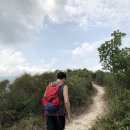 샤프레스토랑 이미지