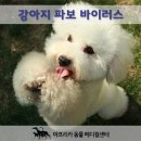 아프리카 동물병원 이미지