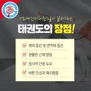 한미 태권스쿨 이미지